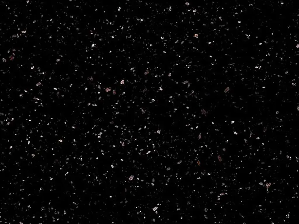 Black Galaxy granite