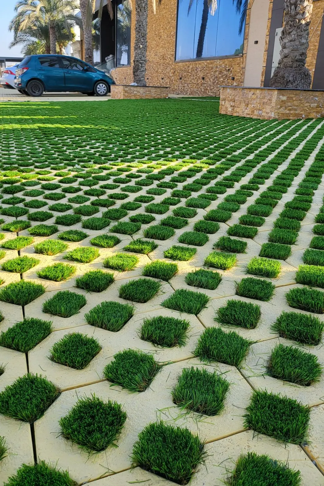 Grass paver