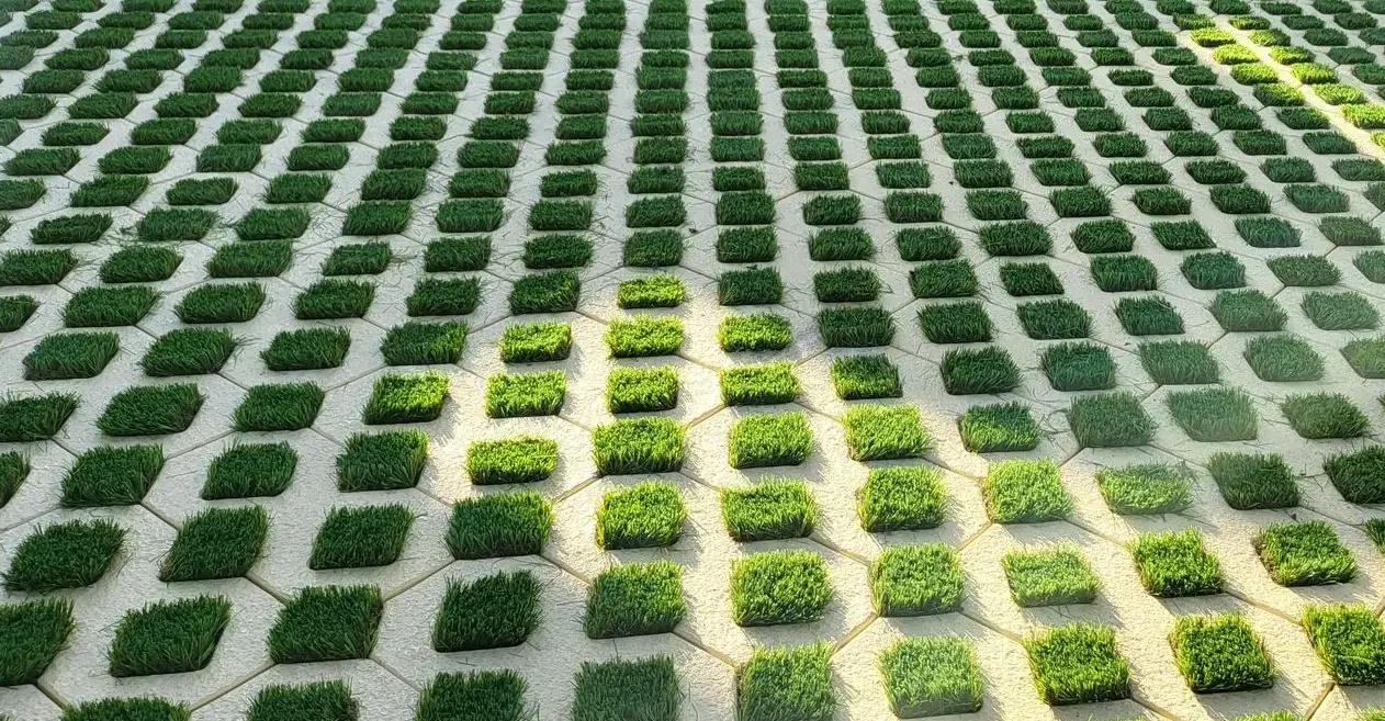 Grass Paver Bloacks